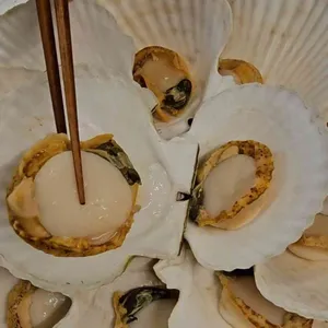 보물섬 대표 사진