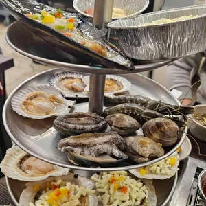 동해가리비 사진