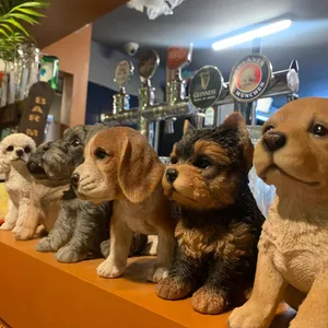 얼맥당 리뷰 사진