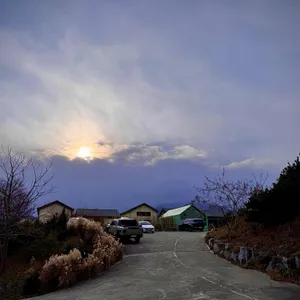 Farm11 리뷰 사진