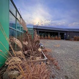 Farm11 리뷰 사진