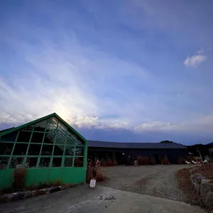 Farm11 리뷰 사진