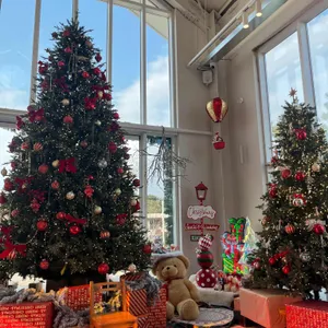 장고목 리뷰 사진