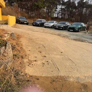 시모네 리뷰 사진