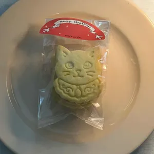 가만히봄 대표 사진