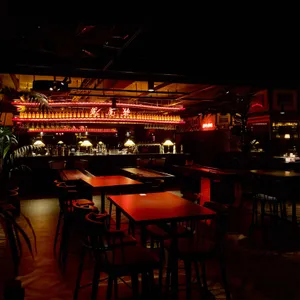 멕시타이거 리뷰 사진