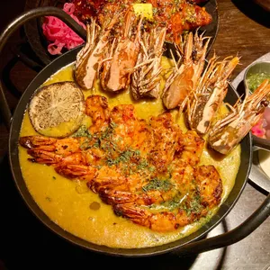 멕시타이거 사진