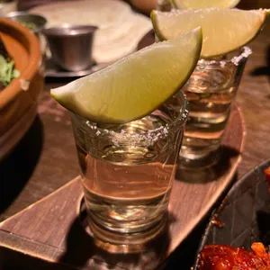 멕시타이거 사진