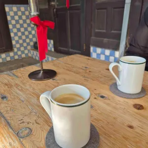 오가닉 모가 대표 사진