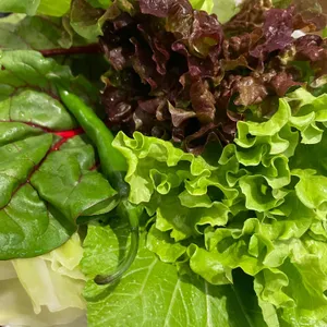 영종쌈밥 리뷰 사진