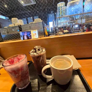 스타벅스 대표 사진