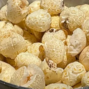 챔피온슈퍼 사진