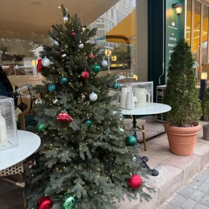 포크너 리뷰 사진