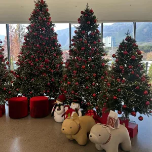 순지 카페 리뷰 사진