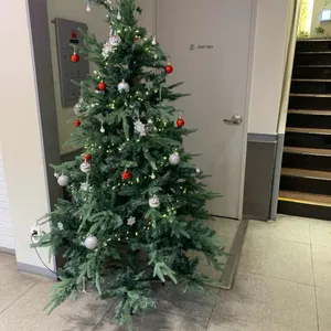 할리스 리뷰 사진