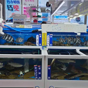 풍어수산 리뷰 사진