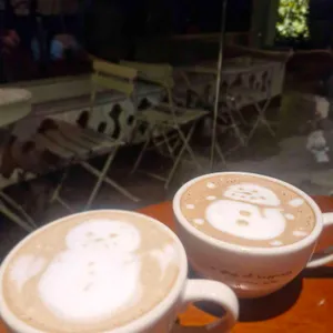 브라운헤이븐 사진