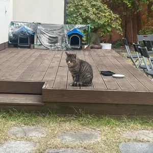 카페소록 리뷰 사진