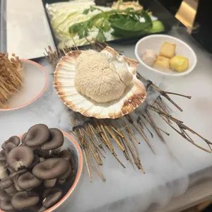 노야 대표 사진