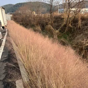 cafe길섶 대표 사진