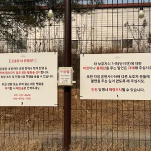 테일45 리뷰 사진