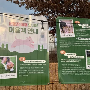 테일45 리뷰 사진