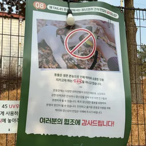 테일45 리뷰 사진