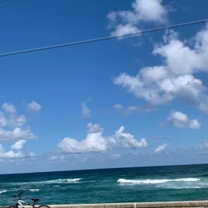 그린횟집 리뷰 사진