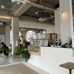 마숑 리뷰 사진