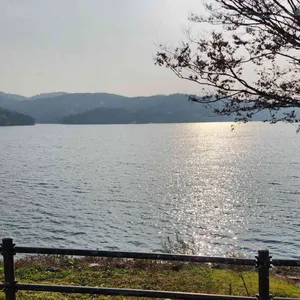 버드나무집 리뷰 사진