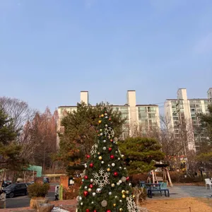 올리떼 리뷰 사진