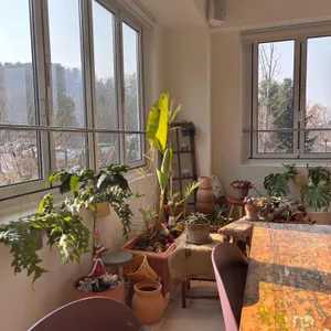 올리떼 리뷰 사진