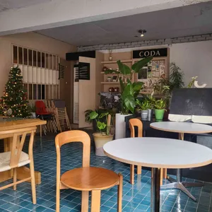 코다 리뷰 사진