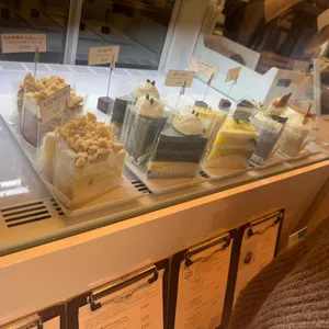 커민 대표 사진