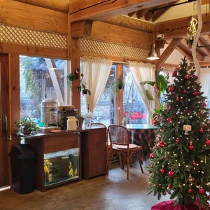 돌담 리뷰 사진