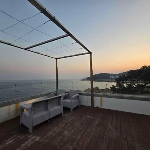 팜트리 리뷰 사진