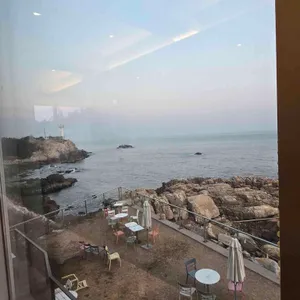 팜트리 리뷰 사진