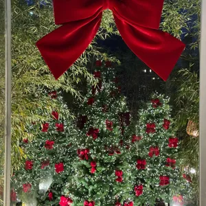 기로띠 리뷰 사진