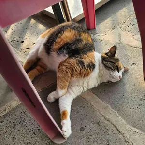 화담 리뷰 사진