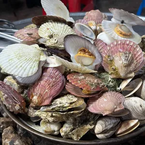 조개랑해물 사진