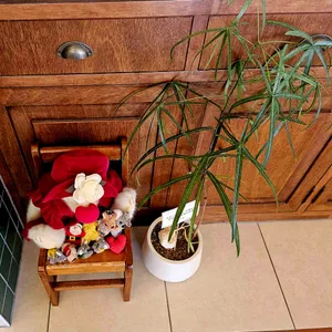 커피창고로 리뷰 사진