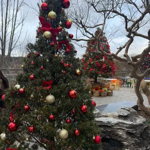 사계 리뷰 사진