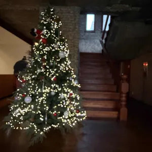 앤트러사이트 리뷰 사진