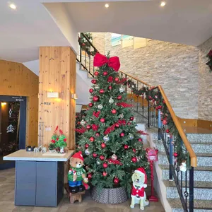 드메르 리뷰 사진