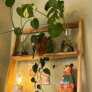 베어스덴 리뷰 사진