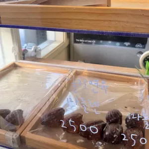 몽심 리뷰 사진