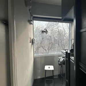 고트커피 리뷰 사진