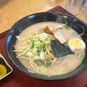 가츠라 대표 사진