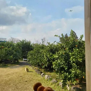 비스마일 리뷰 사진