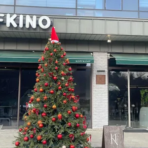 콥프키노 리뷰 사진